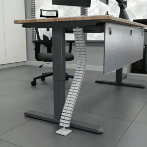 Vertebrae (Rectangular)