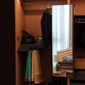 Wardrobe Mirror Pullout