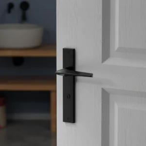 Mortise Door Handle Brass Zen - Backplate