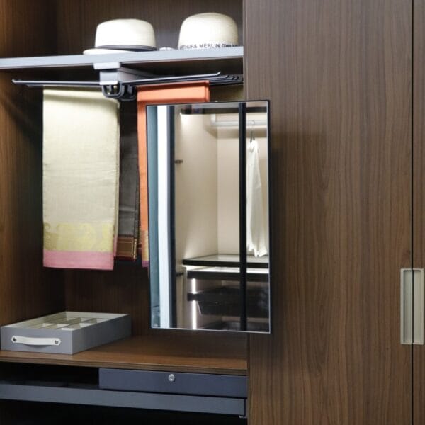 Mirror Pullout (Frameless)